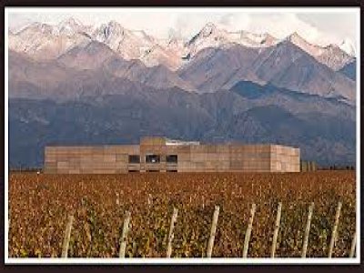 OFERTA DE MARZO    TRUMPETER MALBEC Y CHARDONNAY